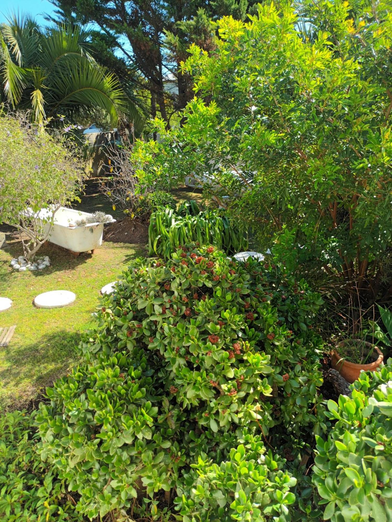Self Catering Unit 6, Sandbaai Hermanus Rom bilde